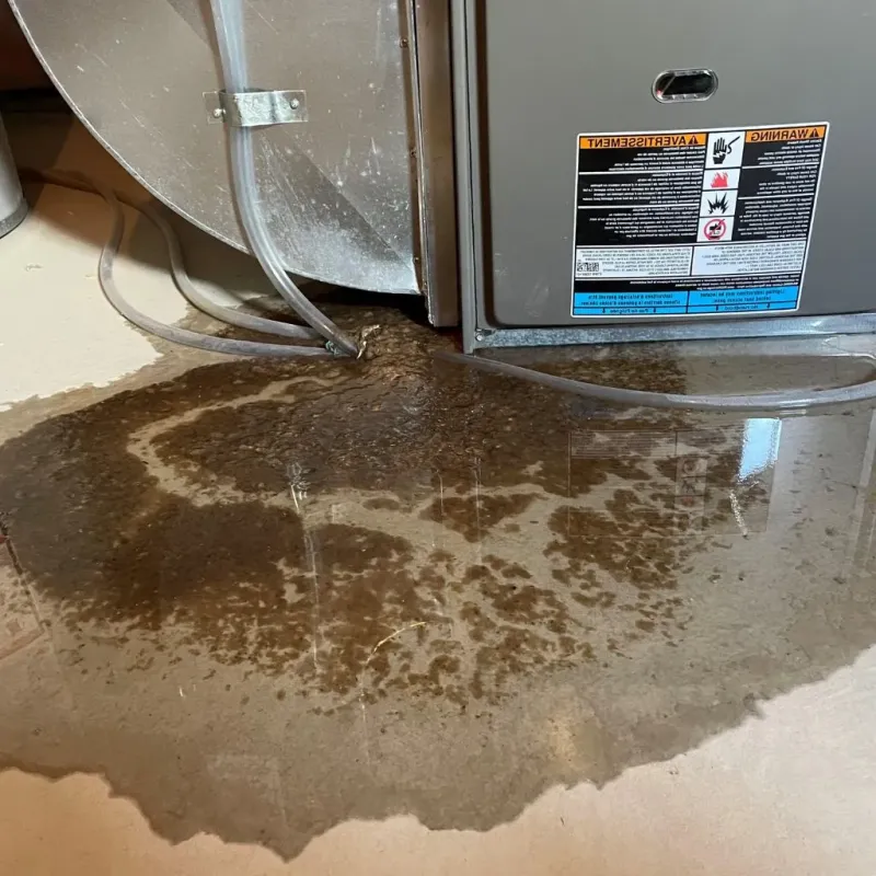 Pipe Burst and Leak Restoration in Mill Creek, WA